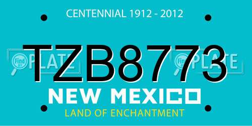 TZB8773 New Mexico License Plate