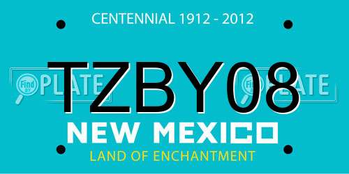 TZBY08 New Mexico License Plate