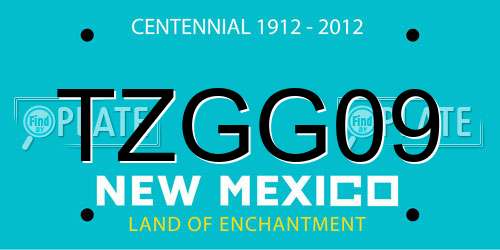 TZGG09 New Mexico License Plate