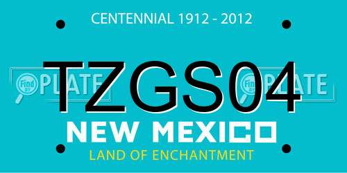 TZGS04 New Mexico License Plate