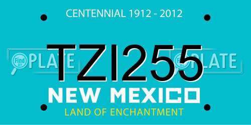 TZI255 New Mexico License Plate