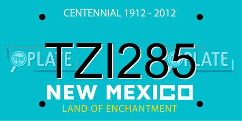 TZI285 New Mexico License Plate