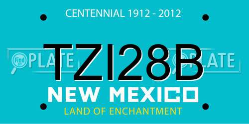 TZI28B New Mexico License Plate