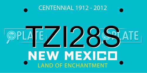 TZI28S New Mexico License Plate