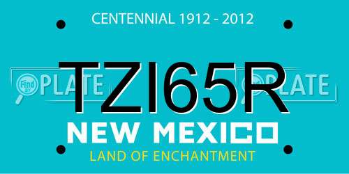 TZI65R New Mexico License Plate