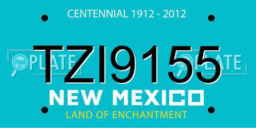 TZI9155 New Mexico License Plate
