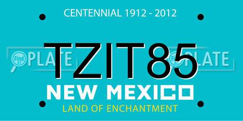 TZIT85 New Mexico License Plate