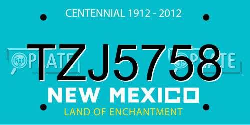 TZJ5758 New Mexico License Plate