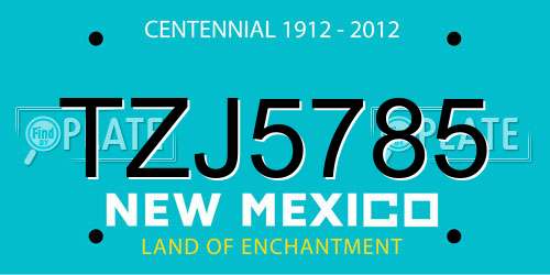 TZJ5785 New Mexico License Plate