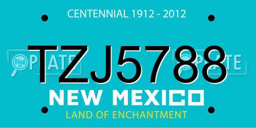 TZJ5788 New Mexico License Plate