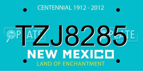 TZJ8285 New Mexico License Plate