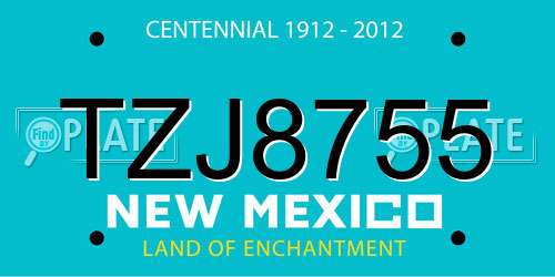 TZJ8755 New Mexico License Plate