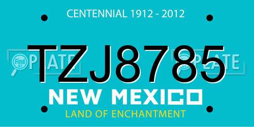 TZJ8785 New Mexico License Plate