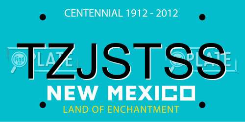 TZJSTSS New Mexico License Plate