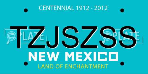TZJSZSS New Mexico License Plate