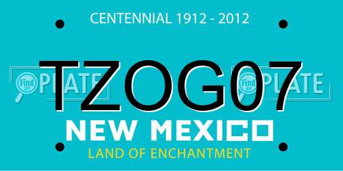 TZOG07 New Mexico License Plate
