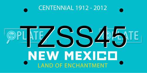 TZSS45 New Mexico License Plate