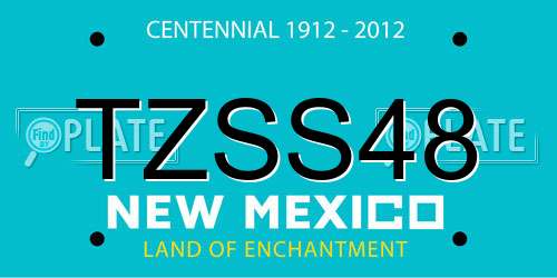TZSS48 New Mexico License Plate
