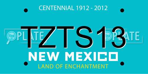 TZTS13 New Mexico License Plate