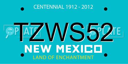 TZWS52 New Mexico License Plate