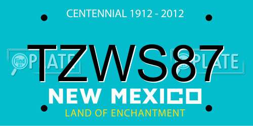 TZWS87 New Mexico License Plate