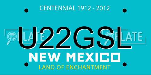 U22GSL New Mexico License Plate