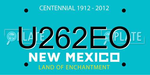 U262EO New Mexico License Plate