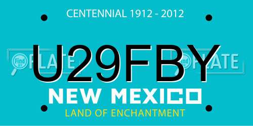 U29FBY New Mexico License Plate