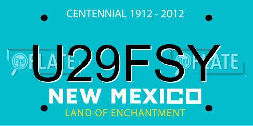 U29FSY New Mexico License Plate