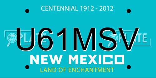 U61MSV New Mexico License Plate