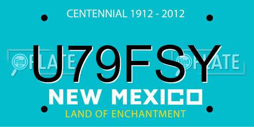 U79FSY New Mexico License Plate
