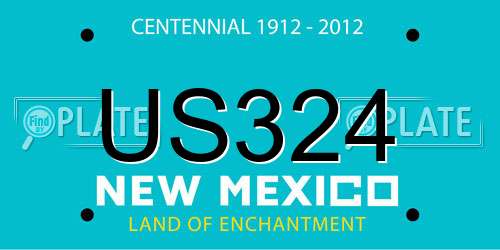 US324 New Mexico License Plate