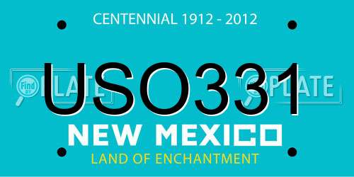USO331 New Mexico License Plate