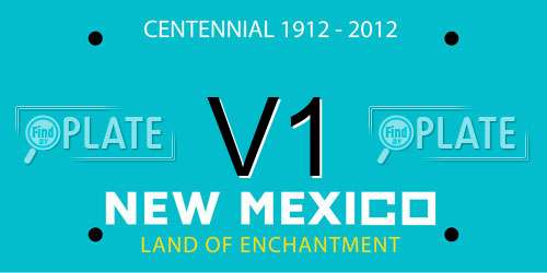 V1 New Mexico License Plate