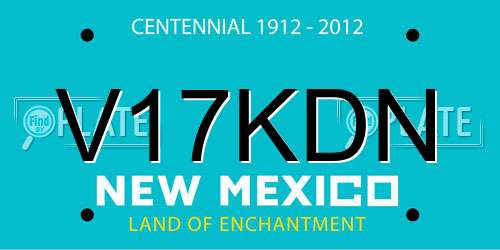 V17KDN New Mexico License Plate