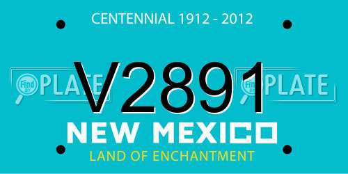 V2891 New Mexico License Plate