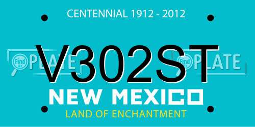 V302ST New Mexico License Plate