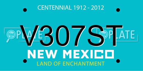V307ST New Mexico License Plate