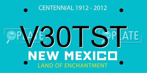 V30TST New Mexico License Plate