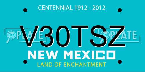 V30TSZ New Mexico License Plate