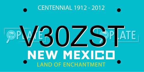 V30ZST New Mexico License Plate