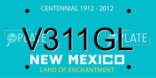 V311GL New Mexico License Plate