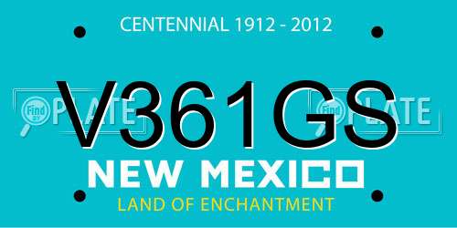 V361GS New Mexico License Plate