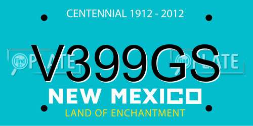 V399GS New Mexico License Plate