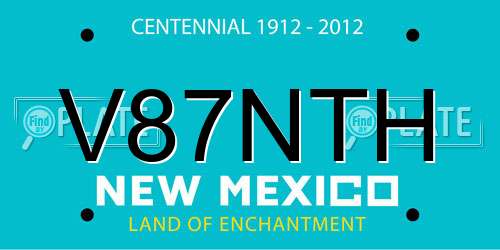 V87NTH New Mexico License Plate