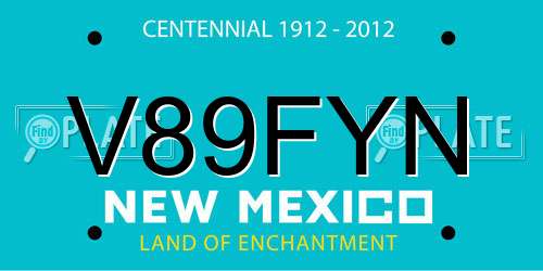 V89FYN New Mexico License Plate
