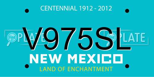 V975SL New Mexico License Plate