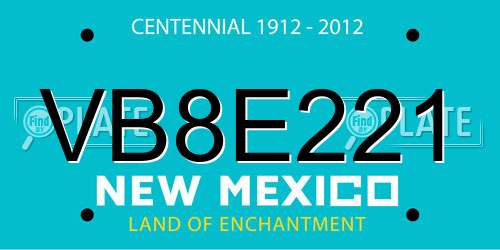 VB8E221 New Mexico License Plate