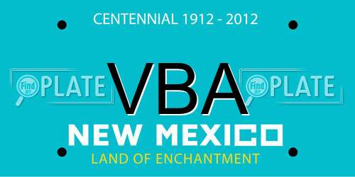 VBA New Mexico License Plate