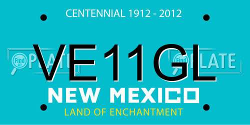 VE11GL New Mexico License Plate